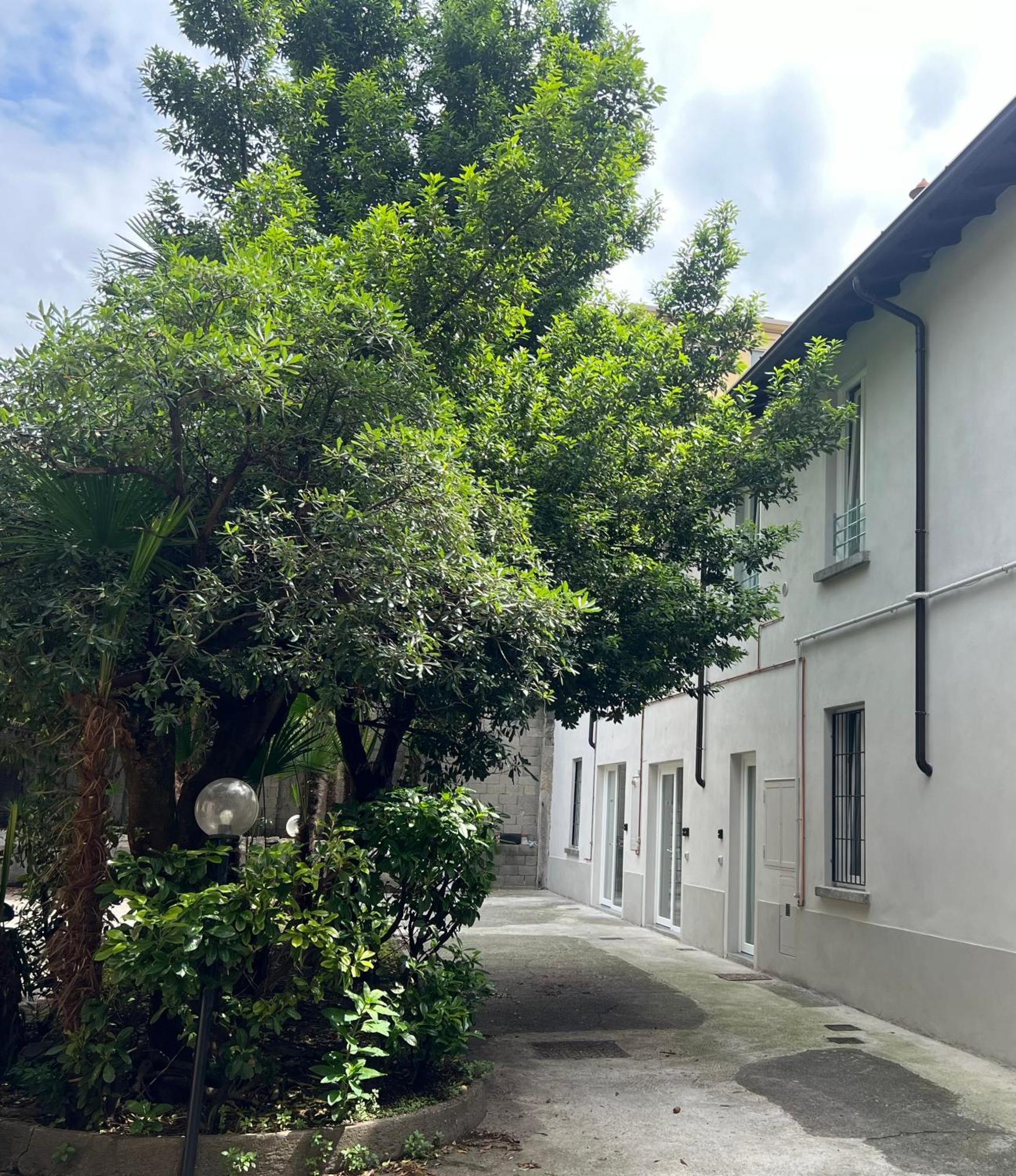 Meschihouse - Liberty 25 Lägenhet Lecco Exteriör bild